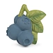 Jerry The Blueberry