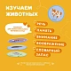 Набор карточек Abumba для игры и обучения «Животные»