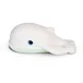 Walter The Whale