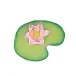 Water Lily