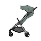 Коляска 2в1 Anex IQ Premium NEW