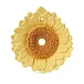 Sun The Sunflower