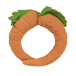 Cathy The Carrot