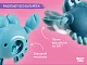 Игрушки для ванной заводные Roxy Kids 3 шт (черепаха, краб, птичка)