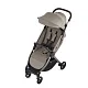 Коляска 2в1 Anex IQ Premium NEW