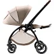 Коляска прогулочная Britax Roemer Rio Style