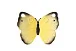 Katia The Butterfly