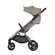 Коляска 2в1 Anex IQ Premium NEW