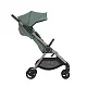 Коляска 2в1 Anex IQ Premium NEW