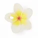 Hawaii The Flower