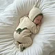 Комплект 3в1 Mimibaby "Дино", хлопок