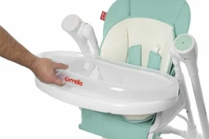 Стульчик для кормления Carrello Triumph 20