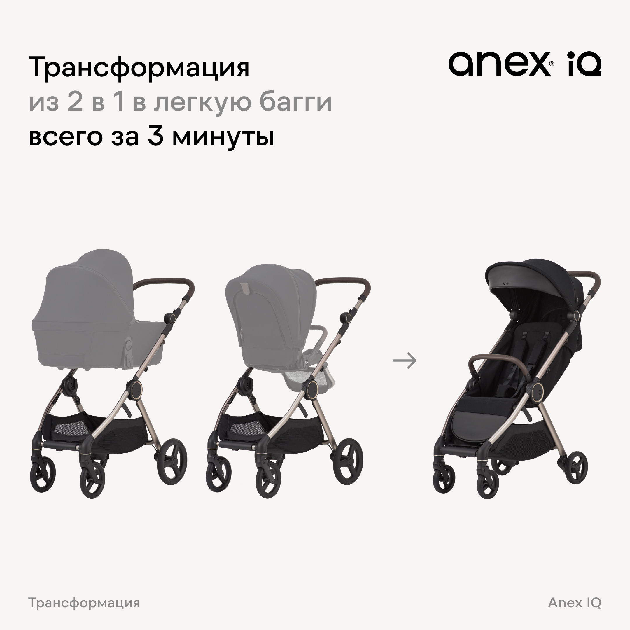 IQ-nt-1 Коляска 2в1 Anex IQ Premium NEW 18