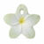 Bali the Flower