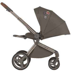Коляска 2в1 Anex Flo 40 anex flo