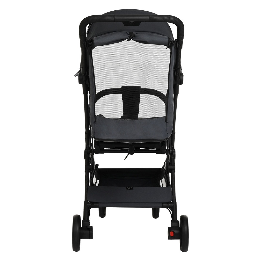 Коляска прогулочная Pituso Pera X-33 10