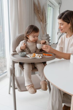 29374_36tn Стул-трансформер для кормления Anex OZY 83