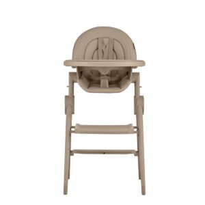 29374_iNcG Стул-трансформер для кормления Anex OZY 51