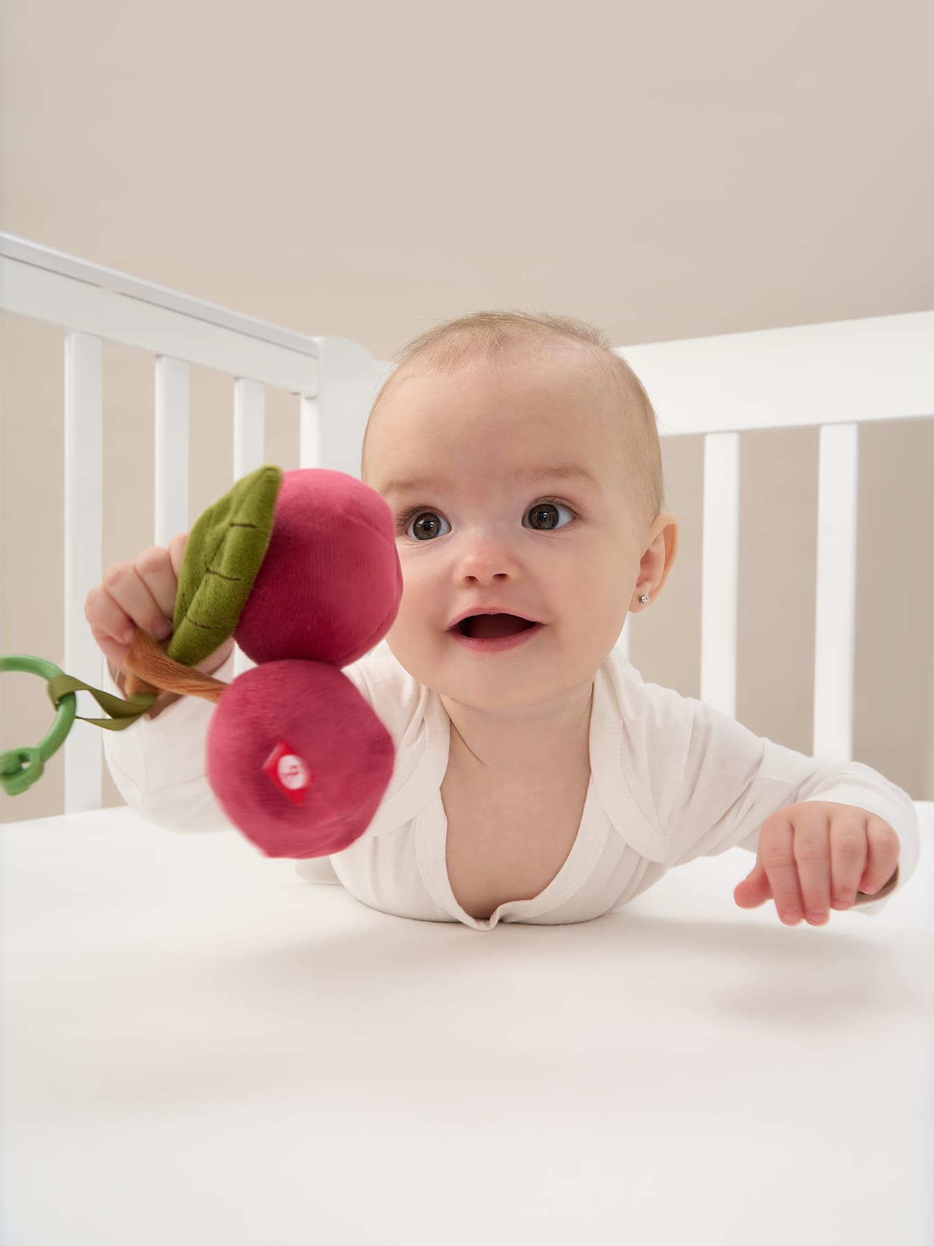 вишня шуршалка