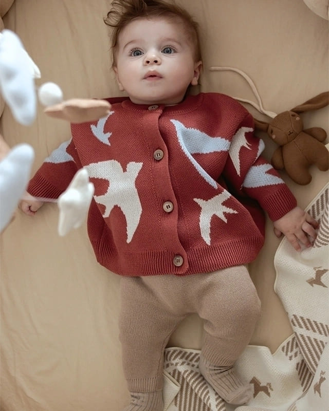 Кардиган детский Loomknits Ласточки LW0303 2 кардиган ласточка