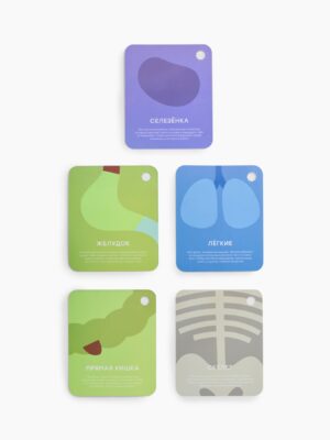 Мягкая игрушка Happy Baby ,FUNNY ANATOMY «ФАНИ АНАТОМИ»