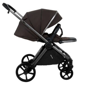 Коляска 2 в 1 Pituso Teffy