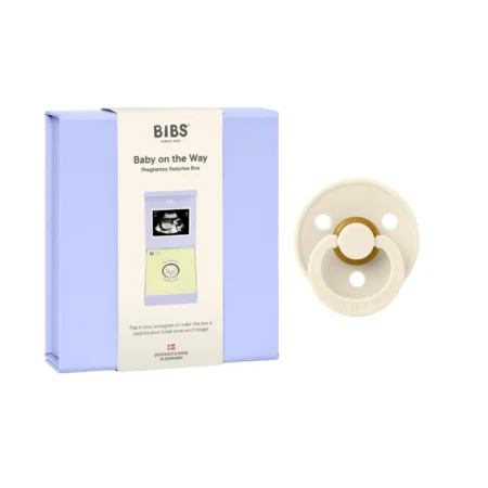 Подарочный набор пустышка латексная BIBS Colour «Baby on the Way», 0+ мес.